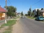 Homrogd030926 078.jpg (84kb)